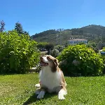 Szálloda Cotto Do Gatto Ponte da Barca
