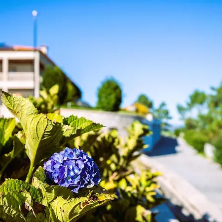 Otel Cotto Do Gatto 4*