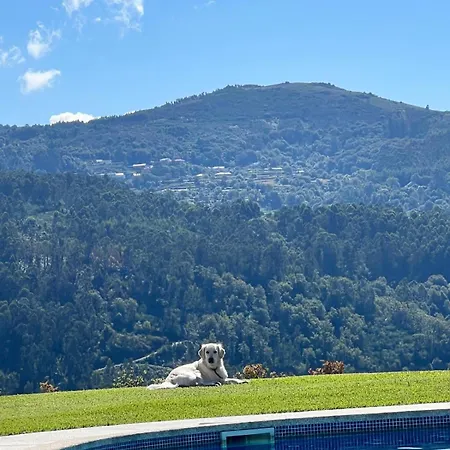 Cotto Do Gatto Ponte da Barca