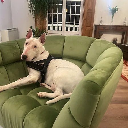 Cotto Do Gatto 폰테다바카