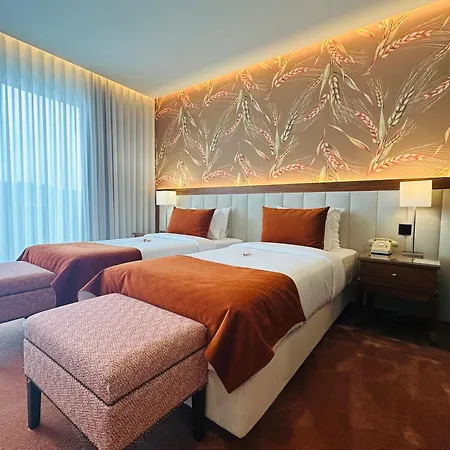 ホテル Cotto Do Gatto ポンテ・ダ・バルカ