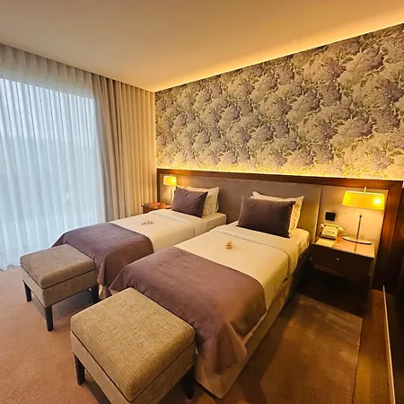 Hotell Cotto Do Gatto