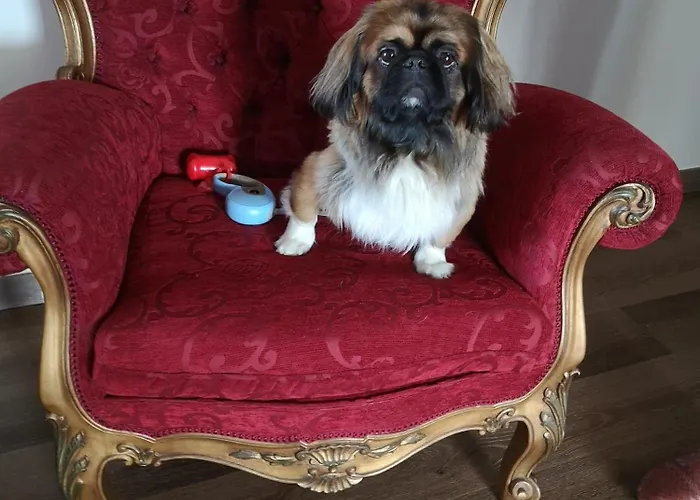 ホテル Cotto Do Gatto