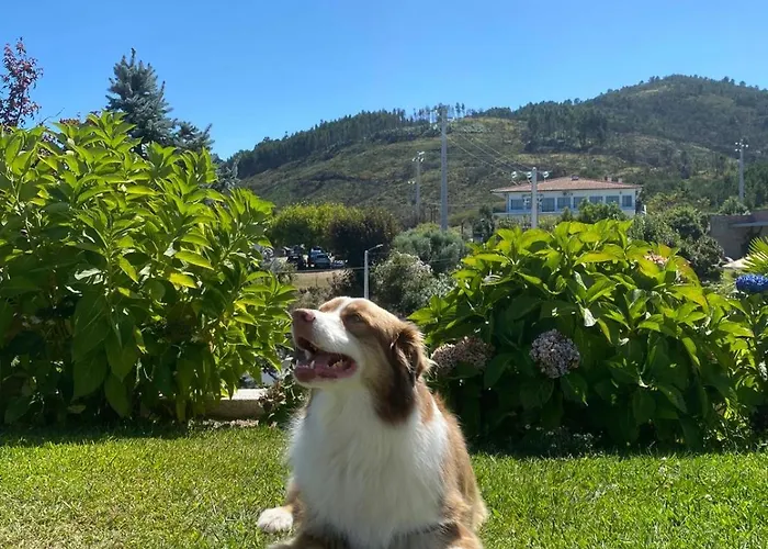 ホテル Cotto Do Gatto ポンテ・ダ・バルカ