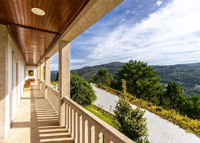 Cotto Do Gatto ポンテ・ダ・バルカ