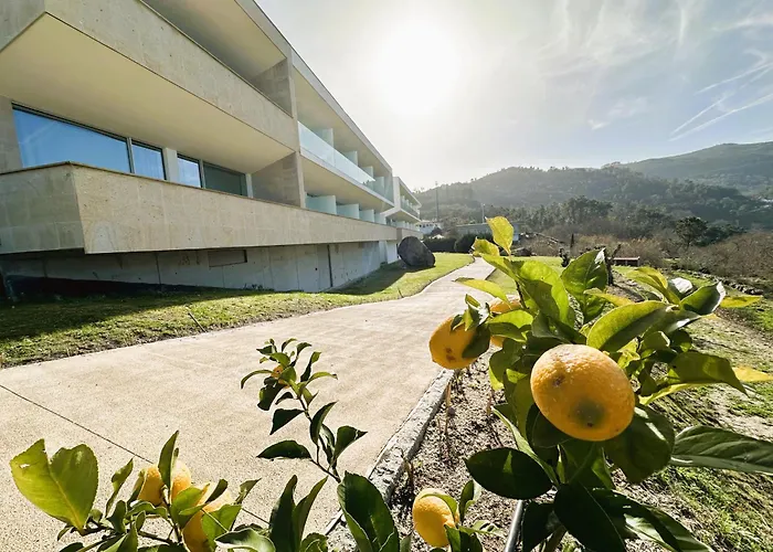 Cotto Do Gatto ホテル