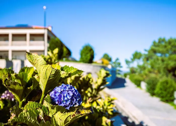 ホテル Cotto Do Gatto 4*