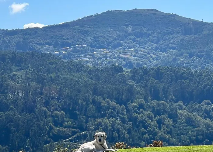 Cotto Do Gatto Ponte da Barca