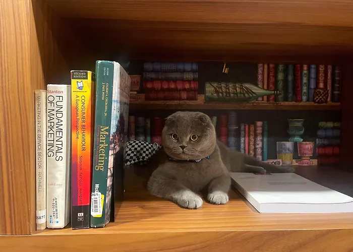 Cotto Do Gatto Hotell 4*