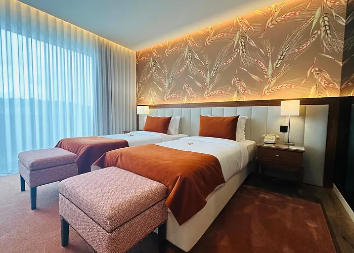 ホテル Cotto Do Gatto ポンテ・ダ・バルカ