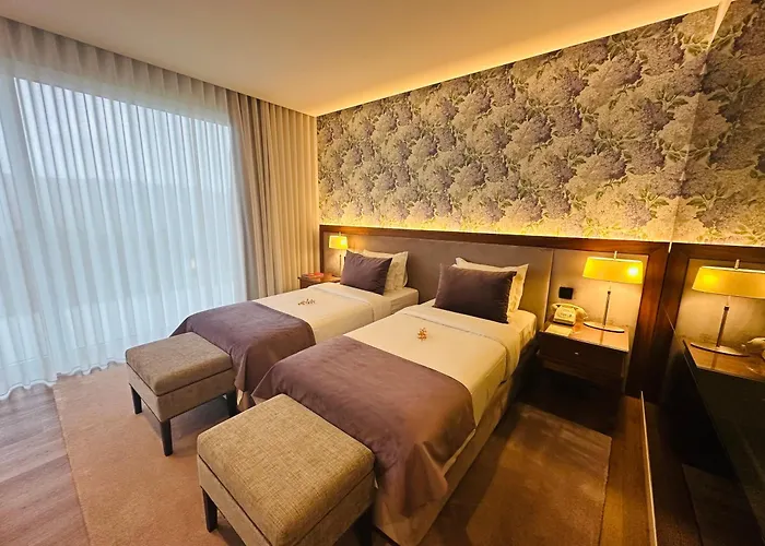 ホテル Cotto Do Gatto