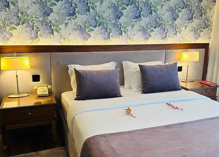 Cotto Do Gatto ポンテ・ダ・バルカ